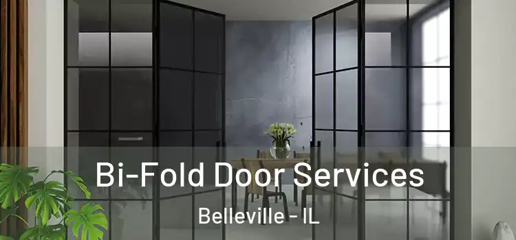 Bi-Fold Door Services Belleville - IL