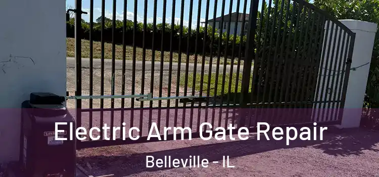 Electric Arm Gate Repair Belleville - IL