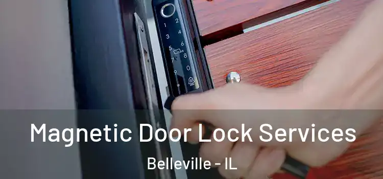Magnetic Door Lock Services Belleville - IL