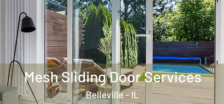 Mesh Sliding Door Services Belleville - IL